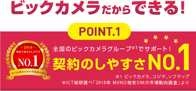 ビックカメラだからできる!POINT.1 契約のしやすさNO.1