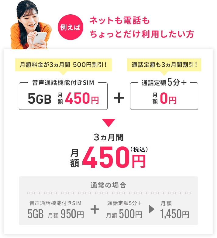 ネットも電話もちょっとだけ利用したい方