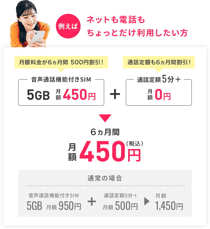 ネットも電話もちょっとだけ利用したい方
