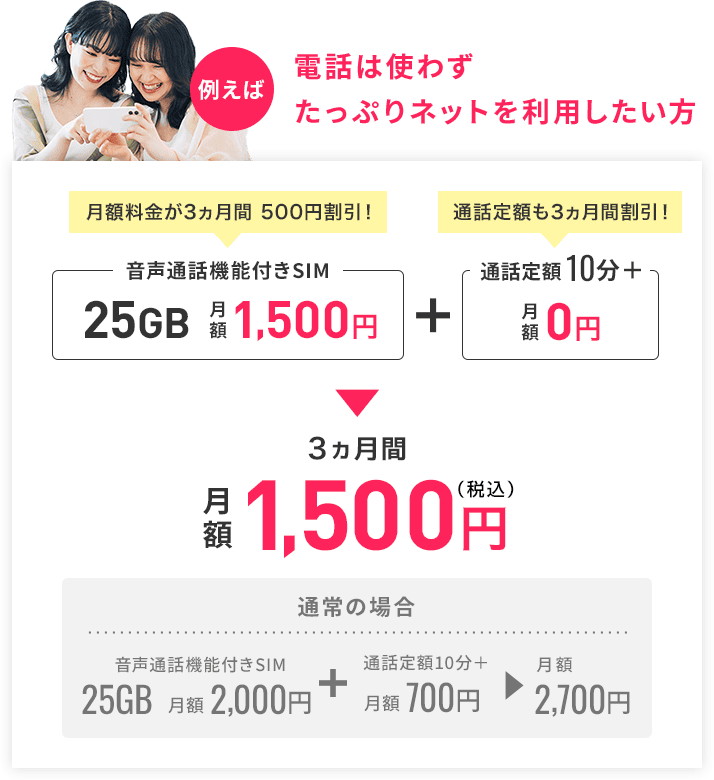 電話はたまに使ってたっぷりネットを利用したい方