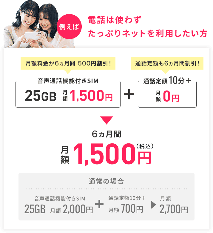 電話はたまに使ってたっぷりネットを利用したい方