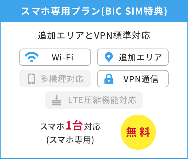 スマホ専用プラン(BIC SIM特典)