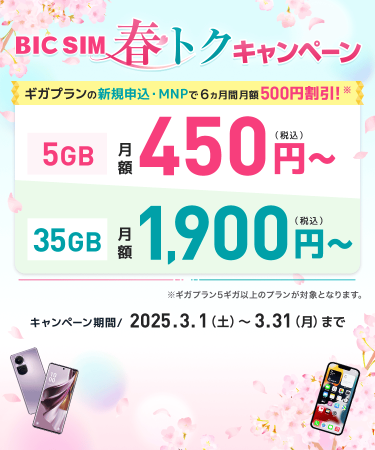 BIC SIMの選べる新料金プラン「ギガプラン」｜ビックカメラの格安SIM