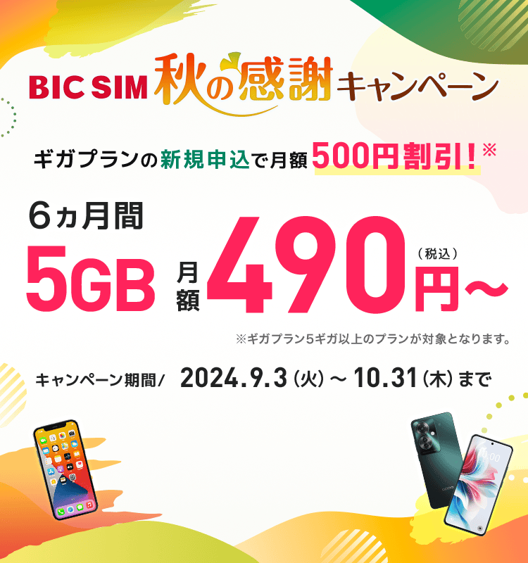 BIC SIMの選べる新料金プラン「ギガプラン」｜ビックカメラの格安SIM