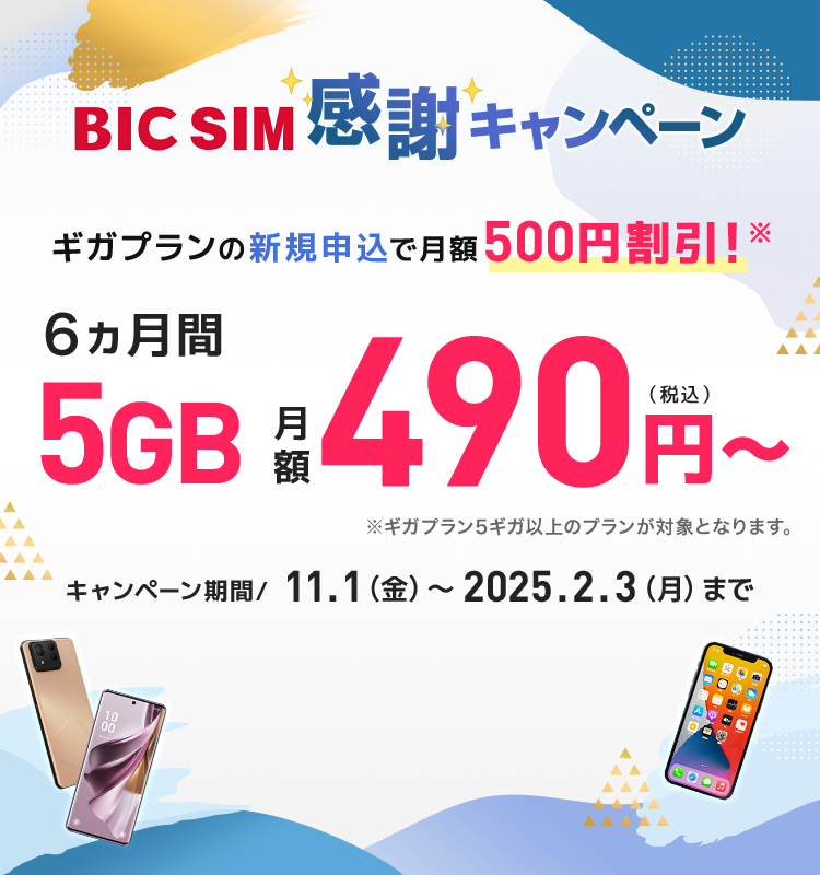 BIC SIM 感謝キャンペーン