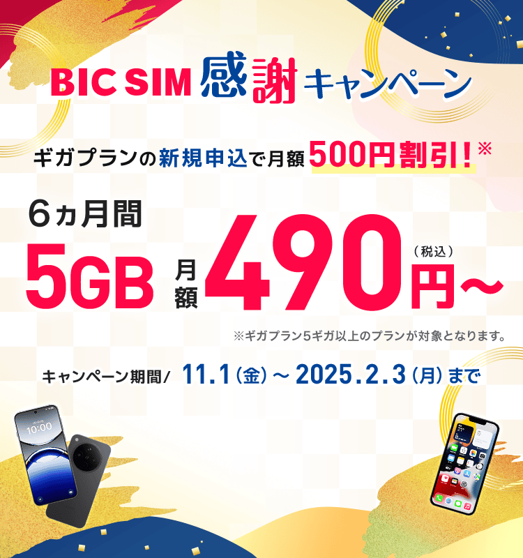 BIC SIM 感謝キャンペーン