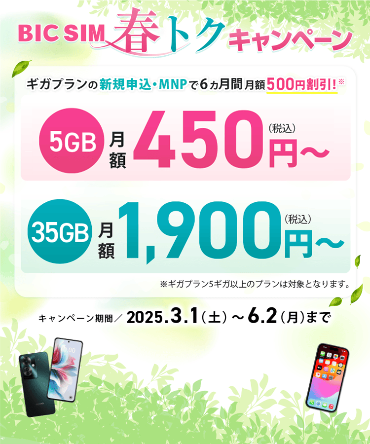 BIC SIM 春トクキャンペーン