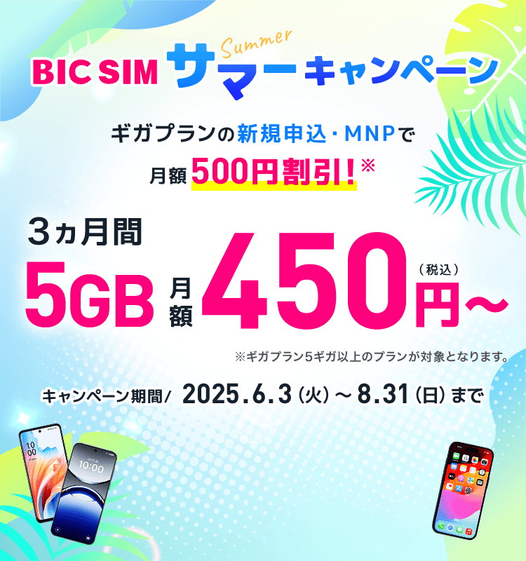 BIC SIM サマーキャンペーン