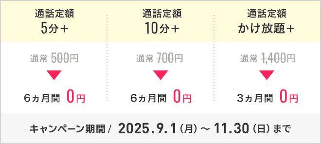 通話定額オプション