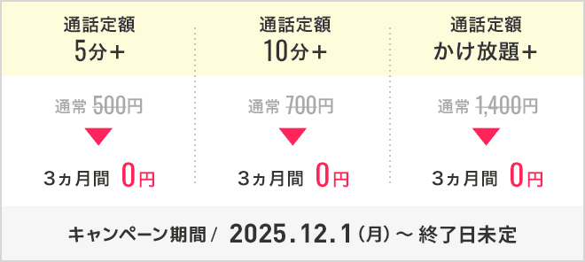 通話定額オプション