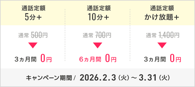 通話定額オプション