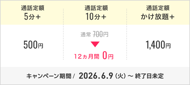 通話定額オプション