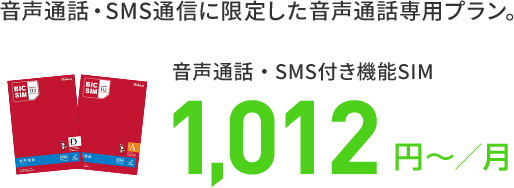 新規受付停止プラン｜ビックカメラの格安SIM・BIC SIM（ビックシム）
