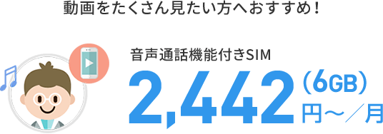 富士通 -  arrows  SIMフリー  BIC SIM音声通話+データ通信セット BIC SIMの選べる料金プラン「ギガプラン」｜ビックカメラの格安