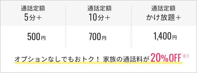 人気の通話定額オプション