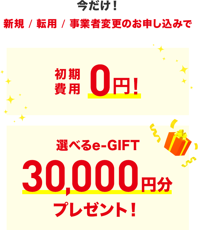 初期費用0円！＋選べるe-GIFT 30,000円分プレゼント！
