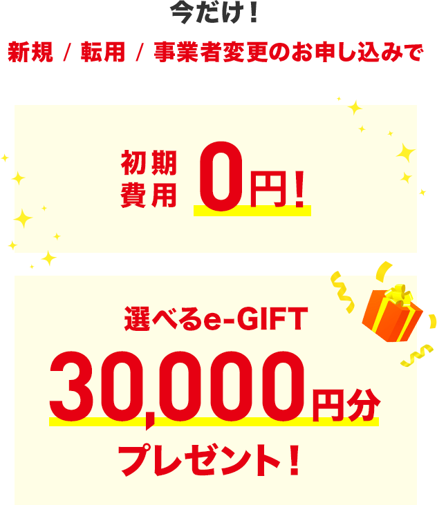 初期費用0円!+選べるe-GIFT 30,000円分プレゼント!