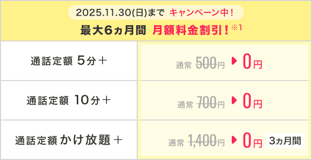 選べる通話オプションも充実！
