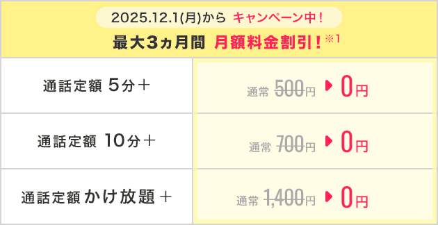 選べる通話オプションも充実！