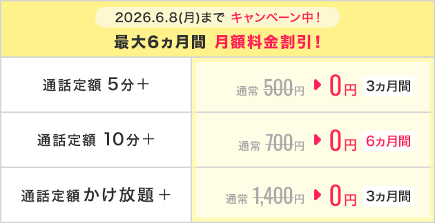 選べる通話オプションも充実！