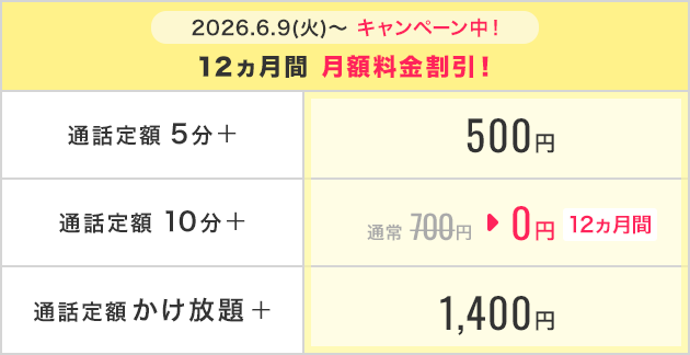 選べる通話オプションも充実！