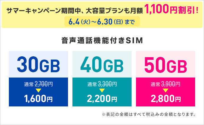 eSIM(ギガプラン)の特徴｜ビックカメラの格安SIM・BIC SIM（ビックシム）