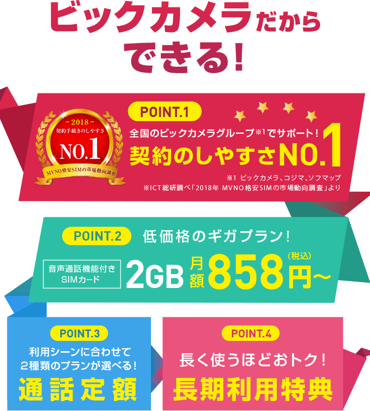 ビックカメラだからできる!