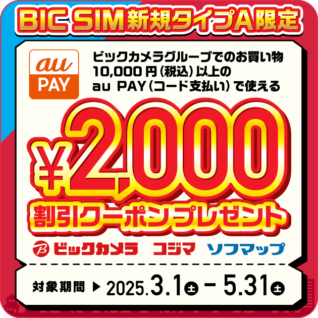 格安SIMのBIC SIM(公式)|ビックカメラの格安SIM・格安スマホ 格安SIMのBIC SIM(公式)|ビックカメラの格安SIM・格安スマホ