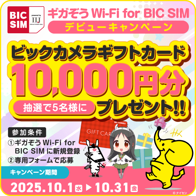 格安SIMのBIC SIM（公式）｜ビックカメラの格安SIM・格安スマホ