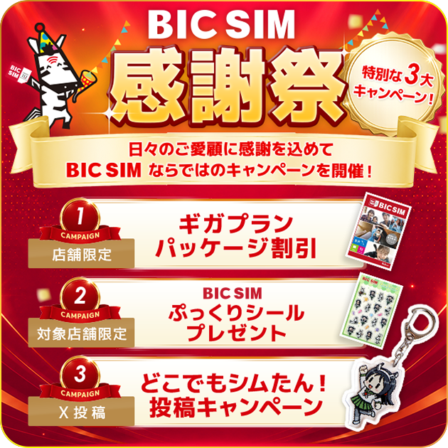 格安SIMのBIC SIM（公式）｜ビックカメラの格安SIM・格安スマホ