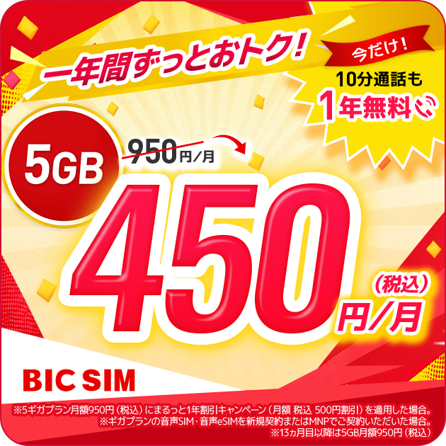 格安SIMのBIC SIM（公式）｜ビックカメラの格安SIM・格安スマホ
