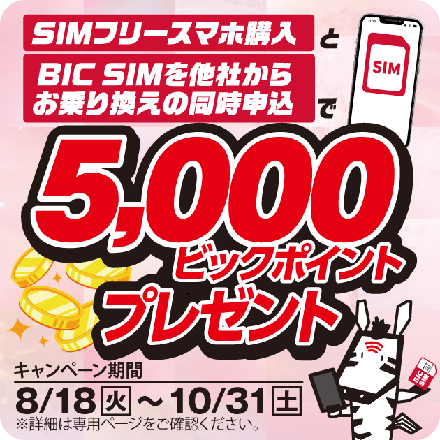 格安SIMのBIC SIM（公式）｜ビックカメラの格安SIM・格安スマホ