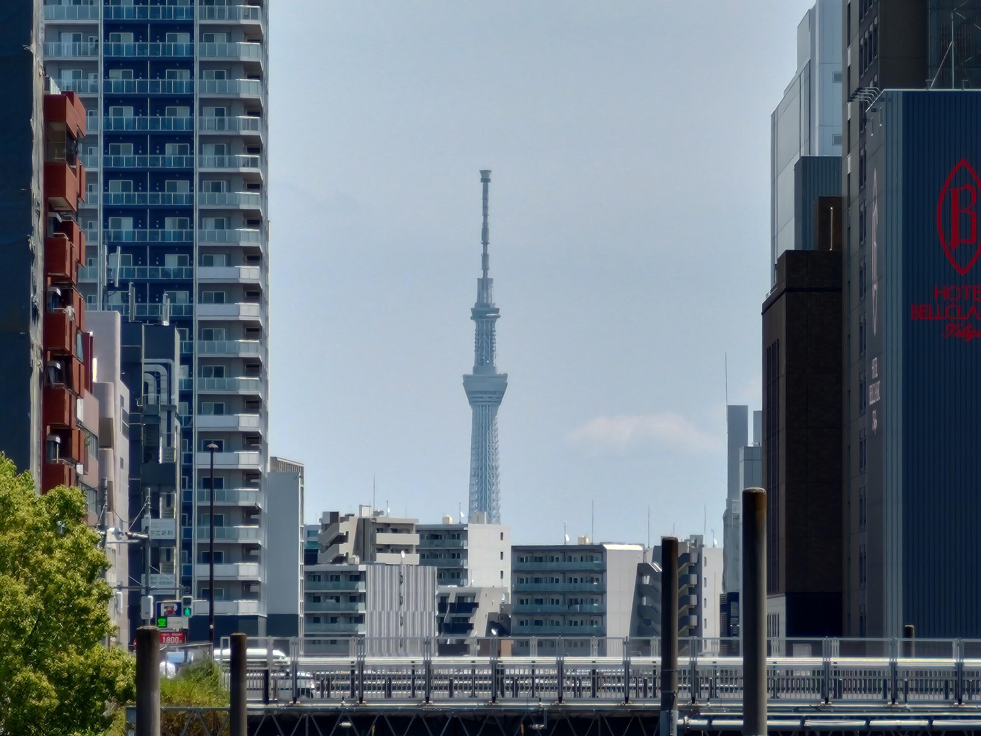 【10倍】P_20250417_115410.jpg