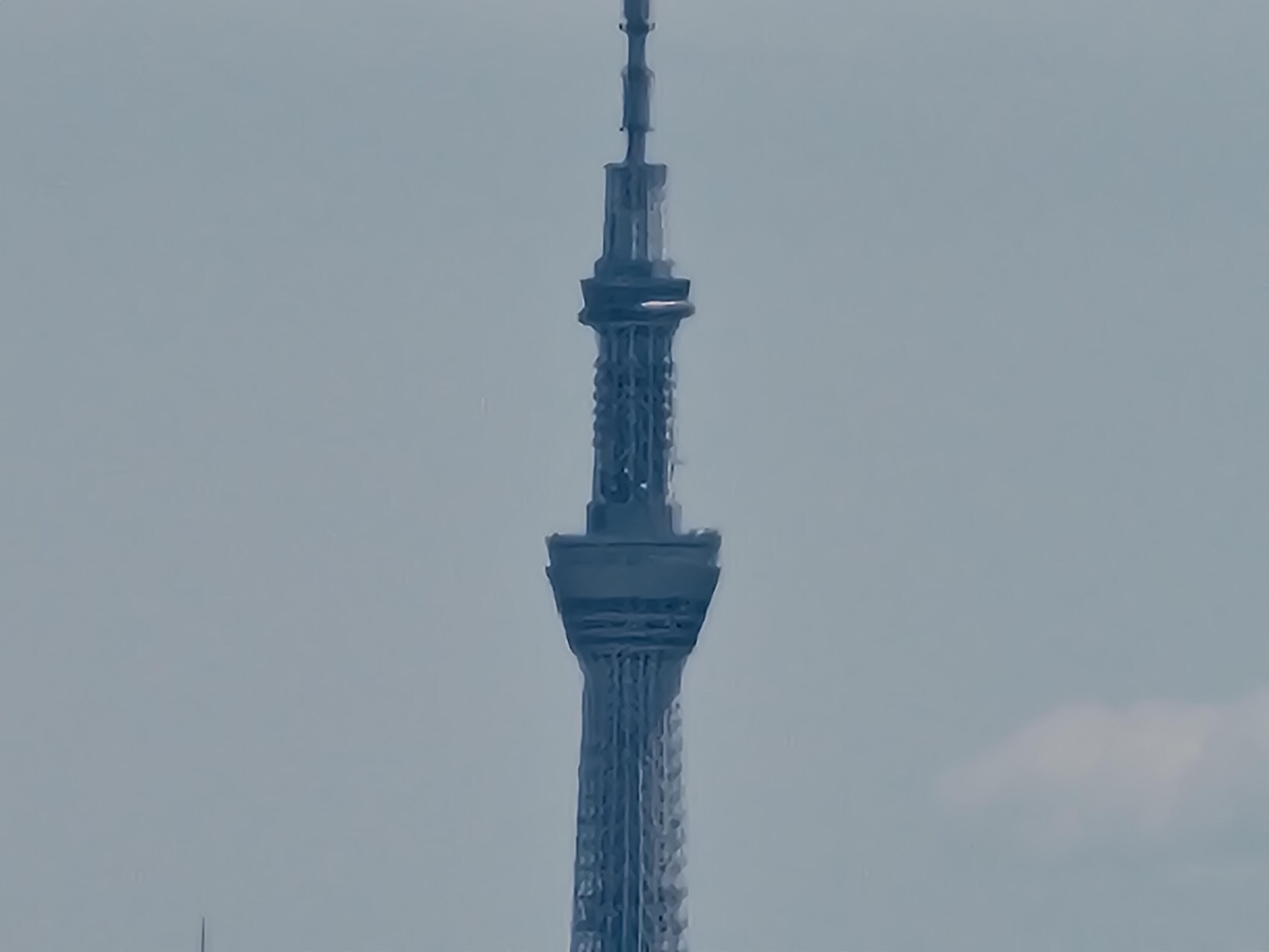 【30倍】P_20250417_115422.jpg