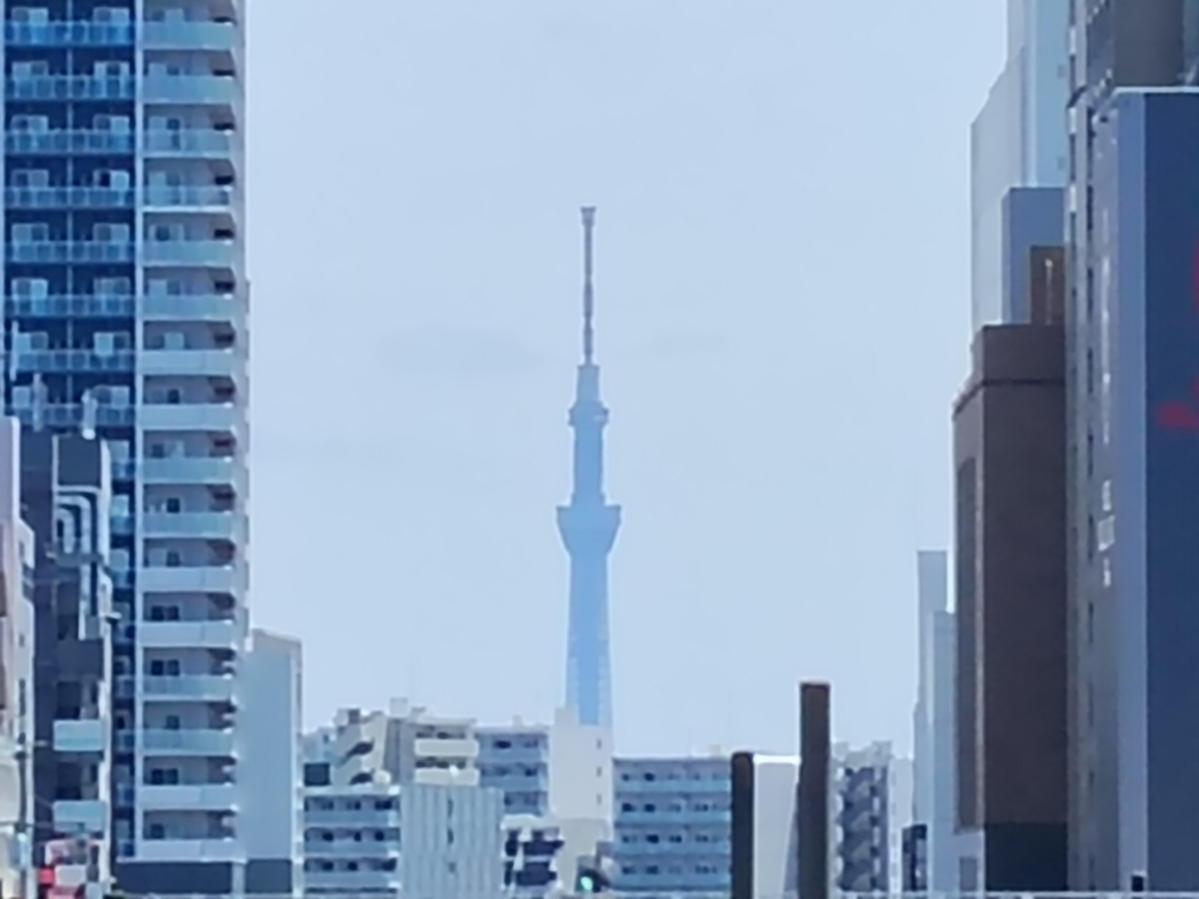 【10倍】IMG20250111163353.jpg