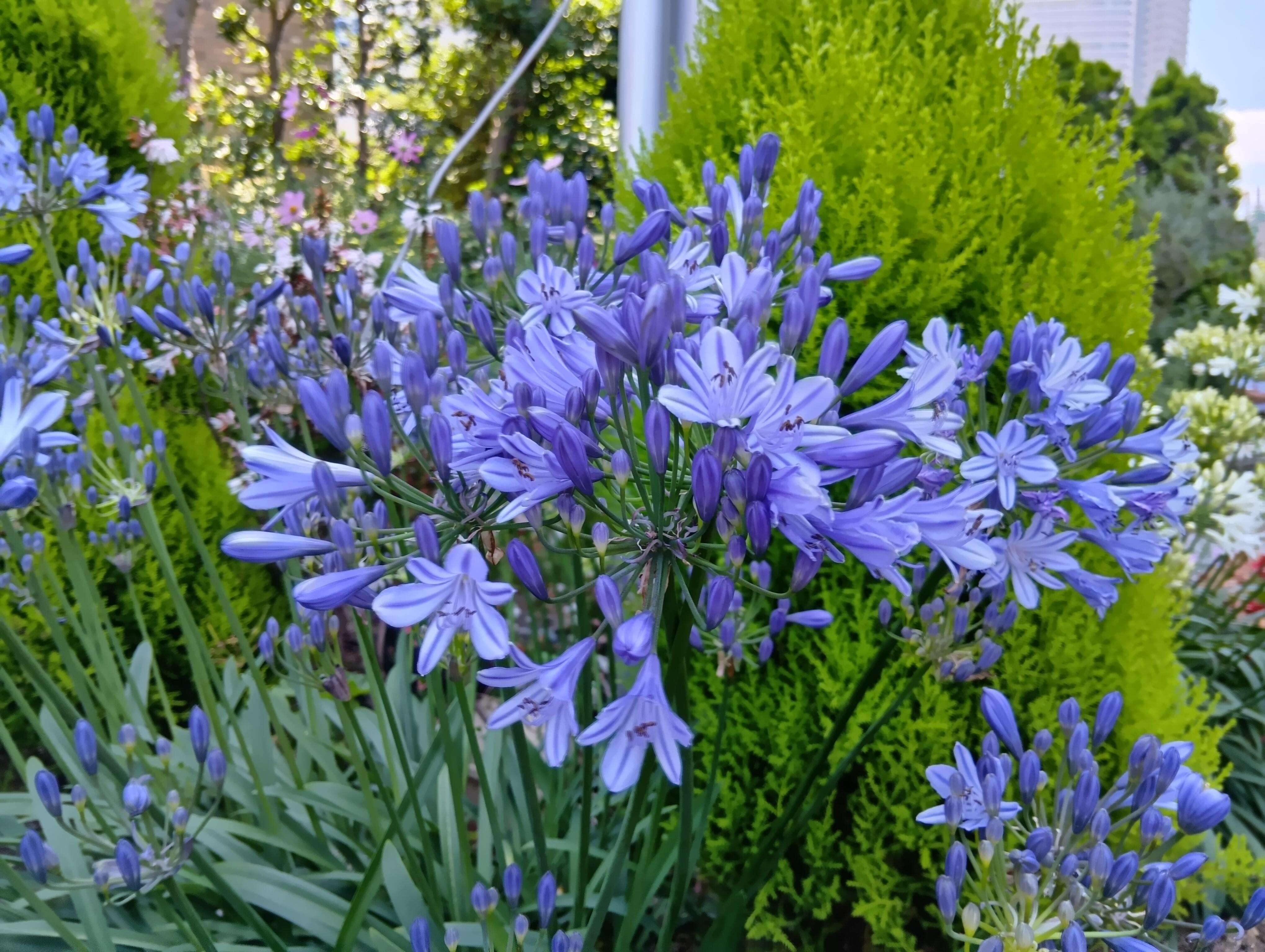 250618120244169.JPG
