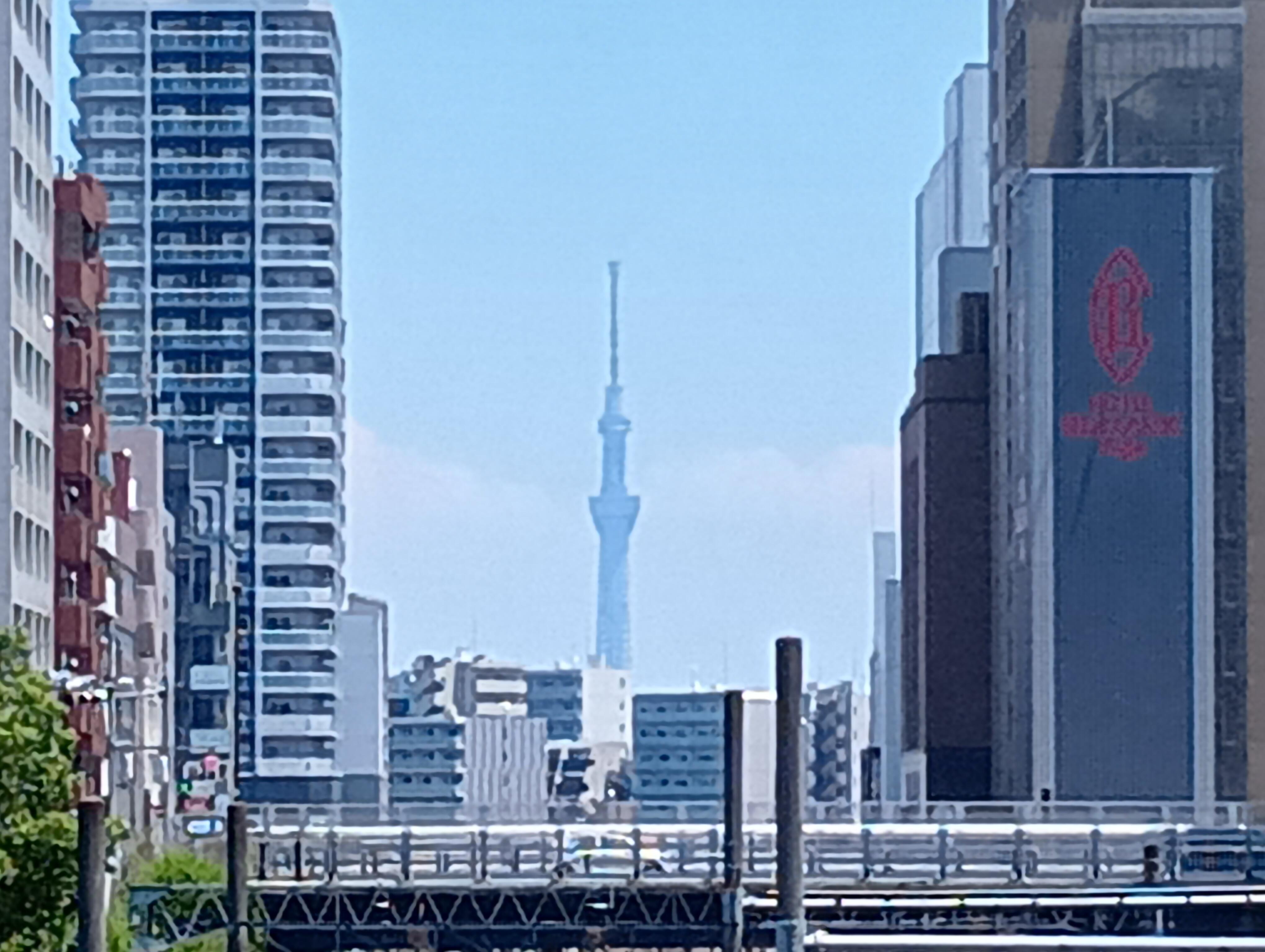 【8倍】250617121515479.JPG