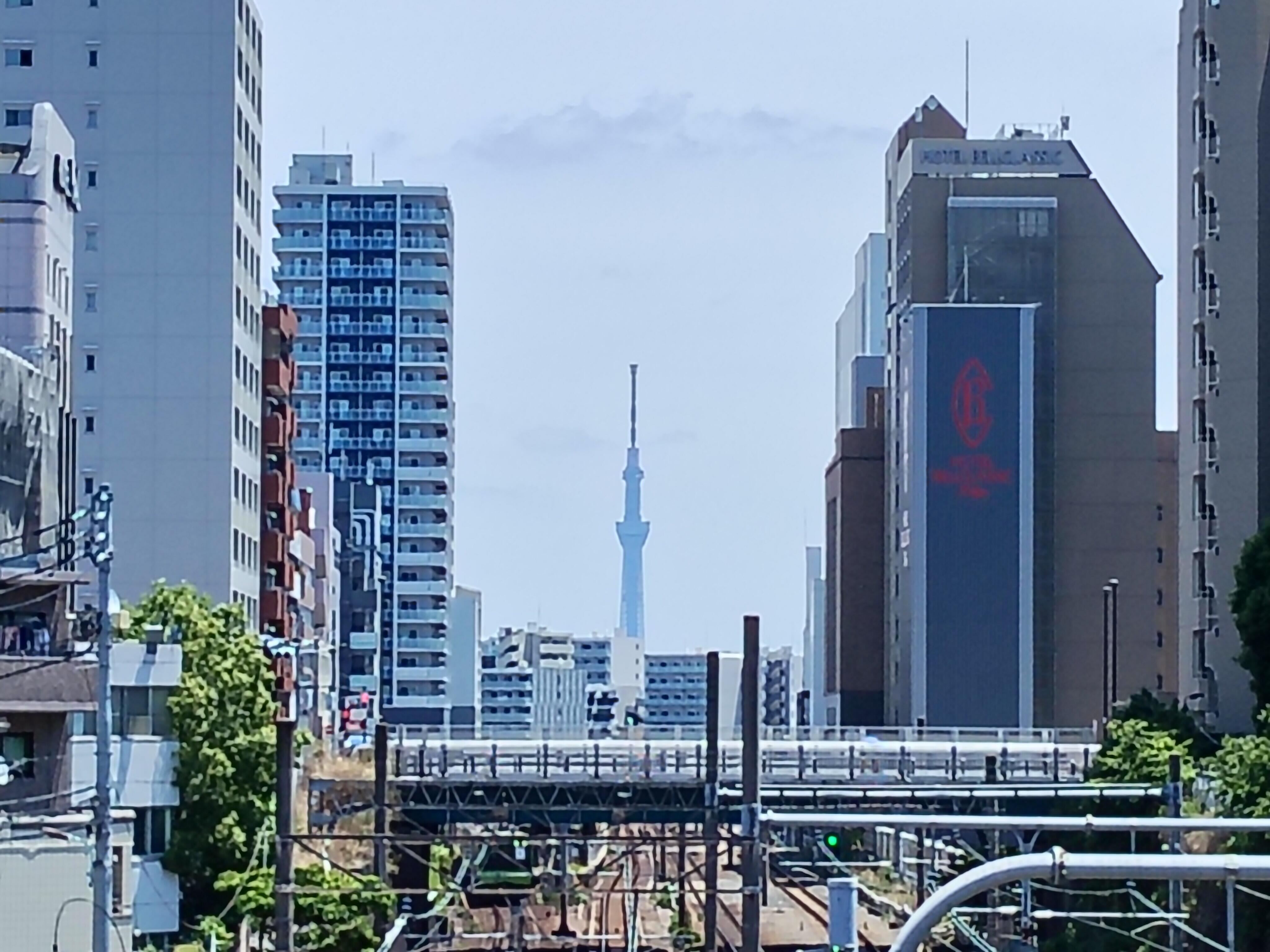 【5倍】IMG20250111163348.jpg