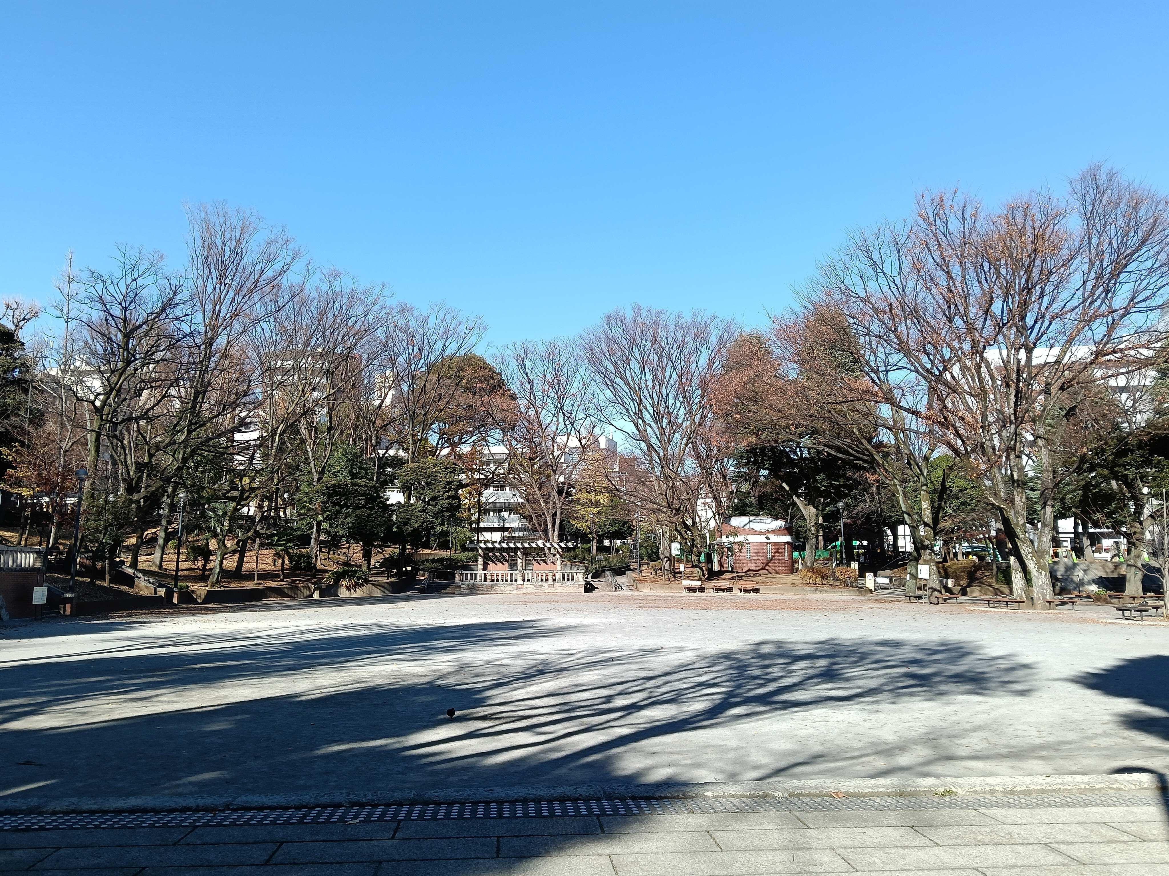 OPPO A5 5Gカメラ_風景.jpg