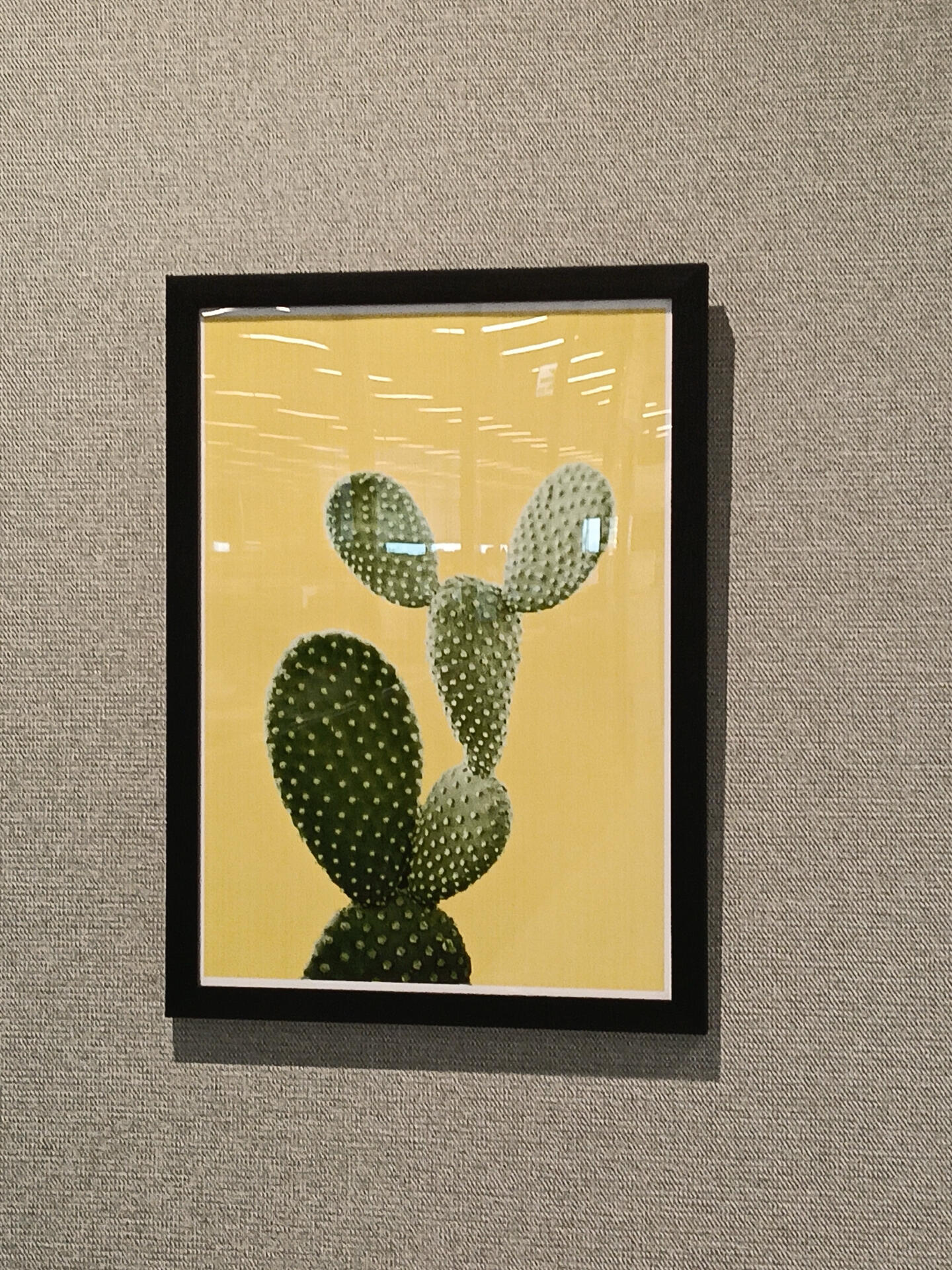 OPPO A5 5G_AI反射除去なし.jpg