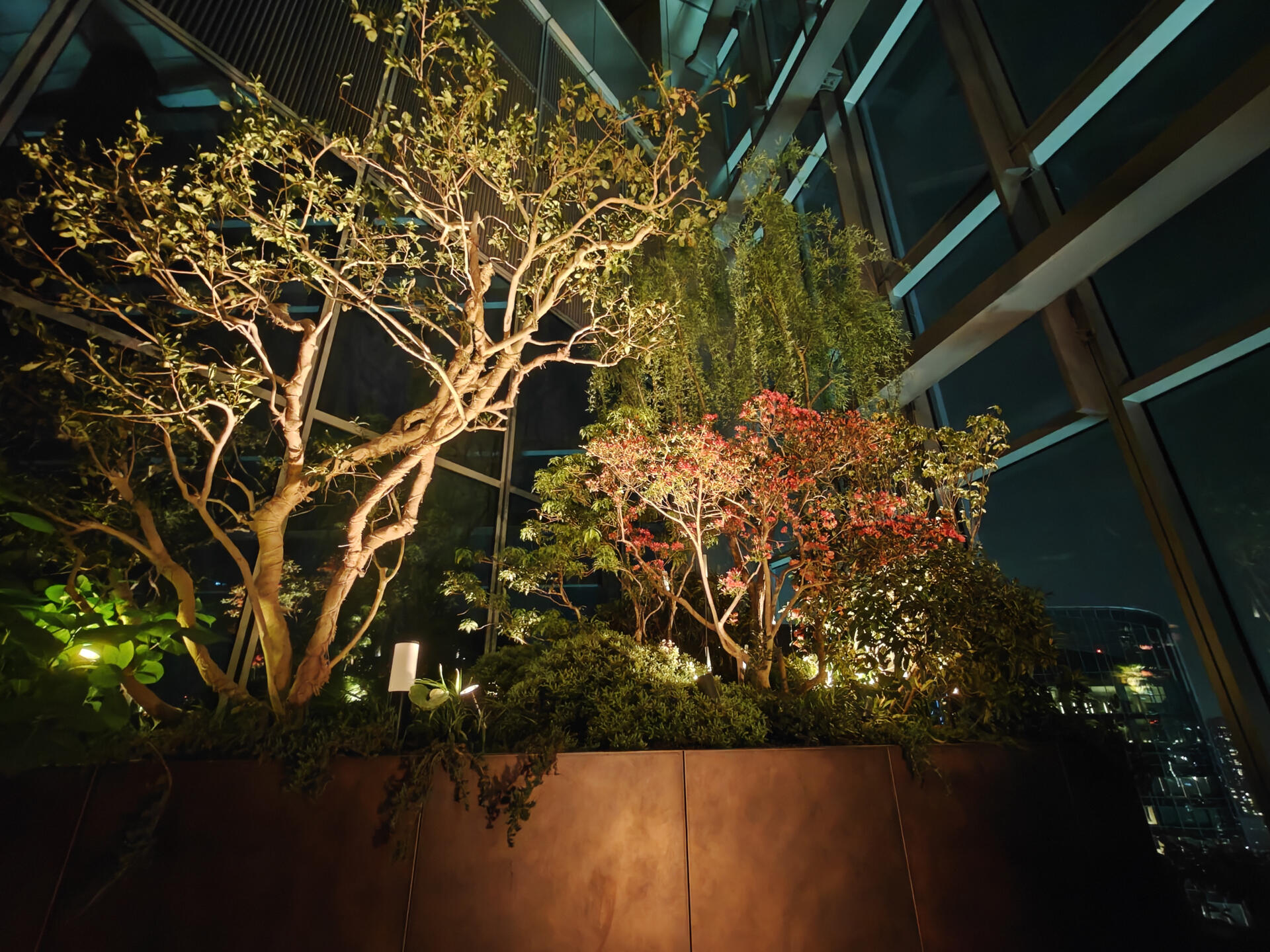 OPPO Find N6撮影写真①.jpg