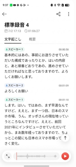 AI VoiceScribe