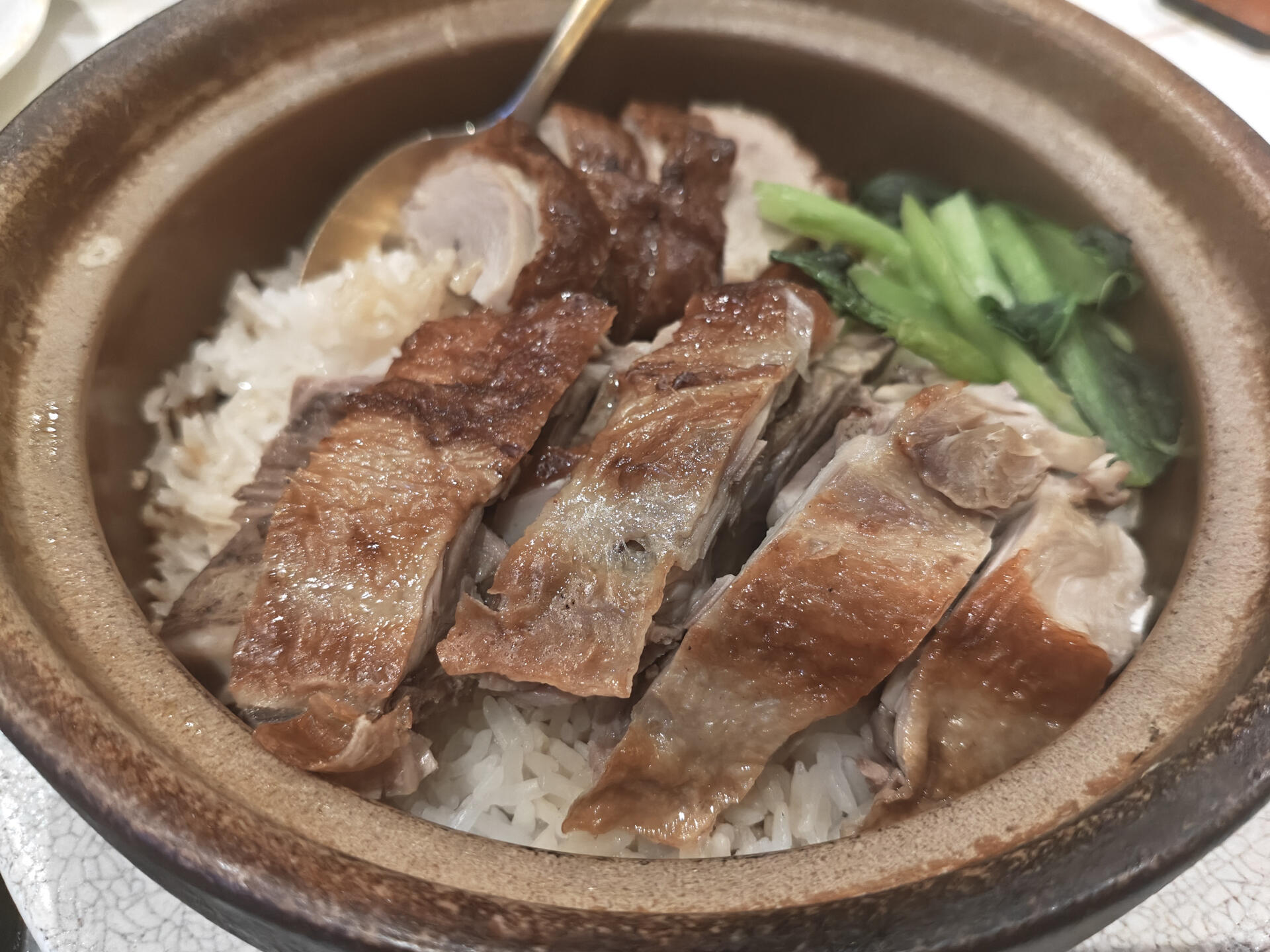 OPPO Reno16 5G写真_1