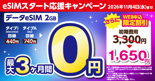 【データeSIM2ギガが3ヶ月0円】「eSIMスタート応援キャンペーン」を解説！最新iPhoneにも対応
