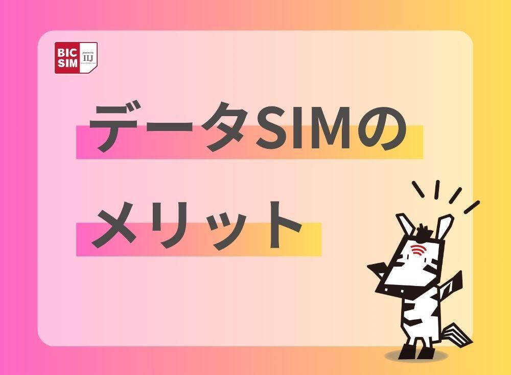 データSIMのメリット.jpg