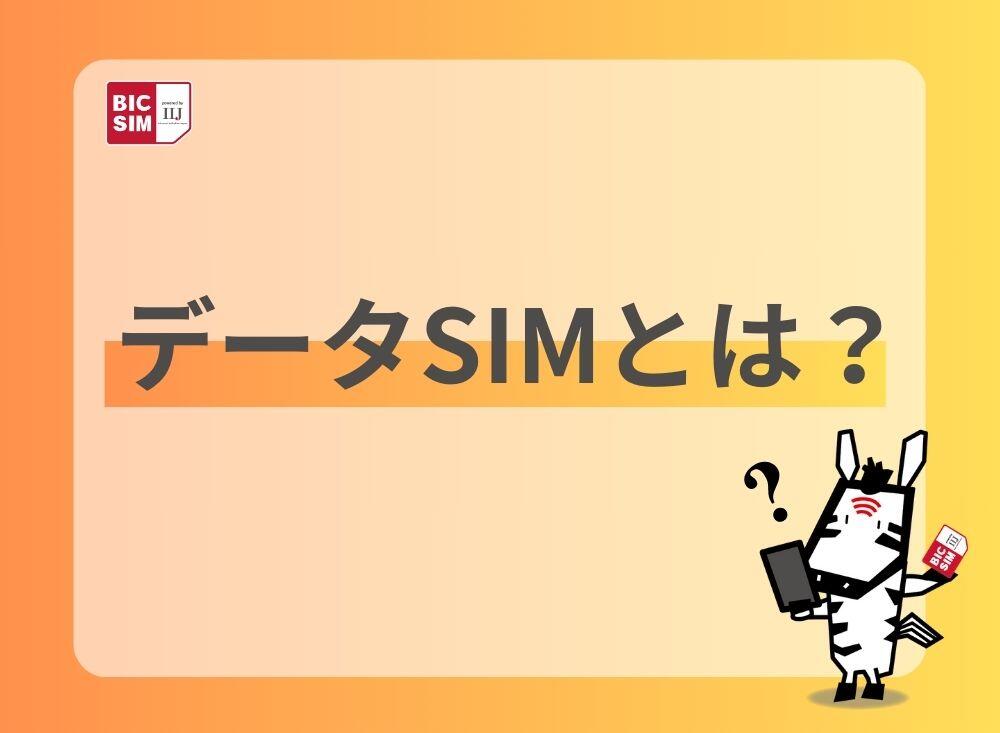 データSIMとは?.jpg