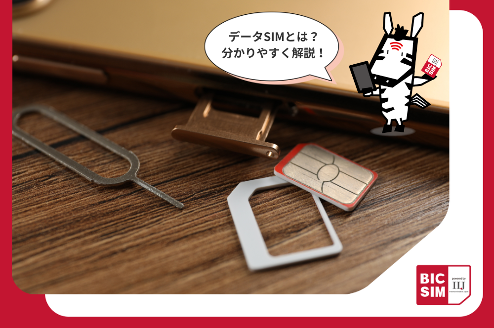 データSIMとは?使える機能やメリット・デメリット、気になる価格も解説