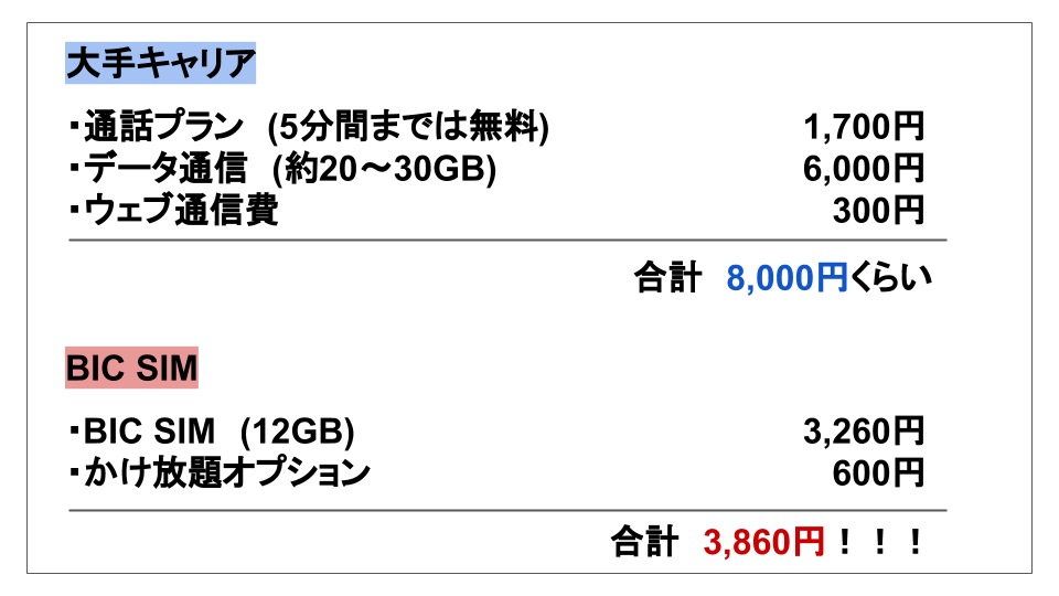 bic sim.png