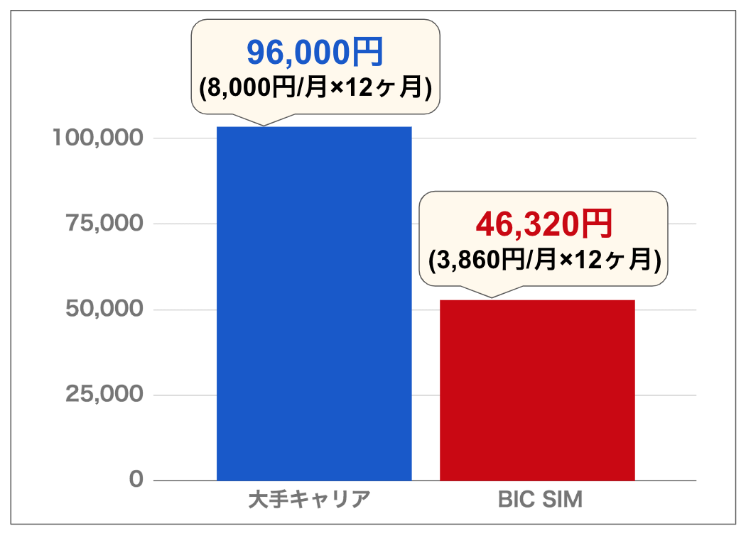 bic sim2.png
