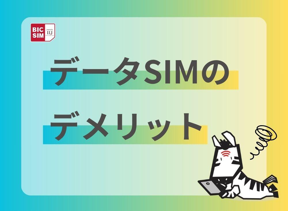 データSIMのデメリット.jpg